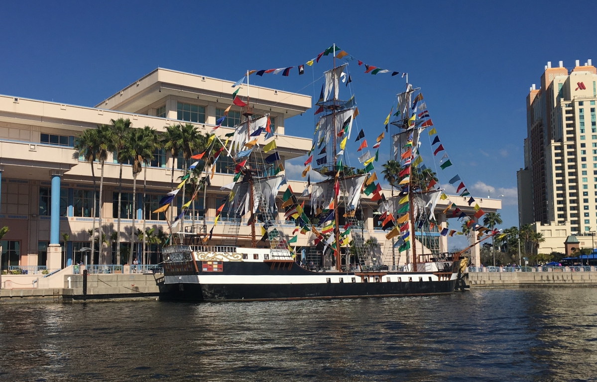 Pinetree Tampa